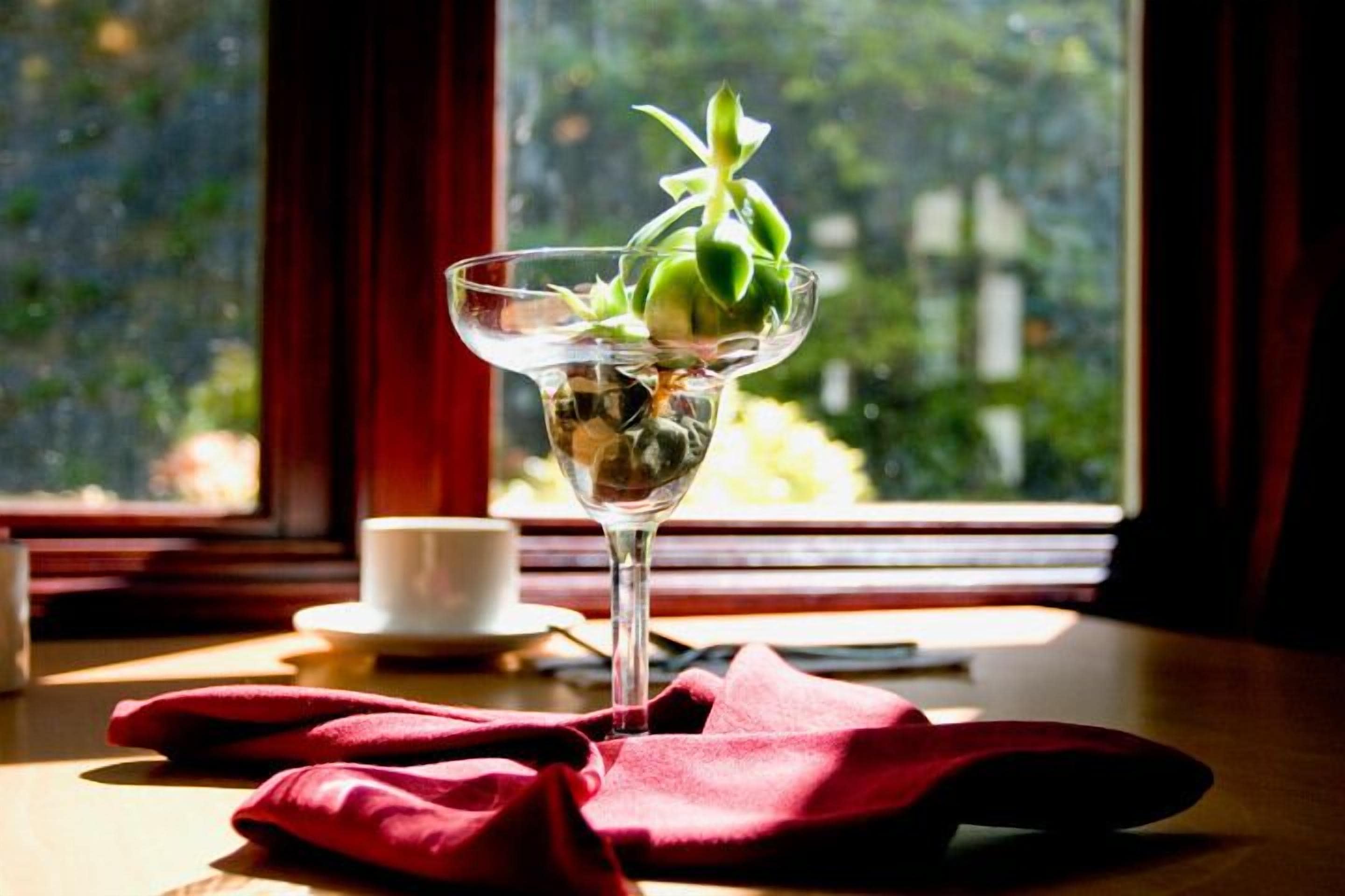 A table with a clear glass vase containing a green plant, a white cup, and a red cloth.