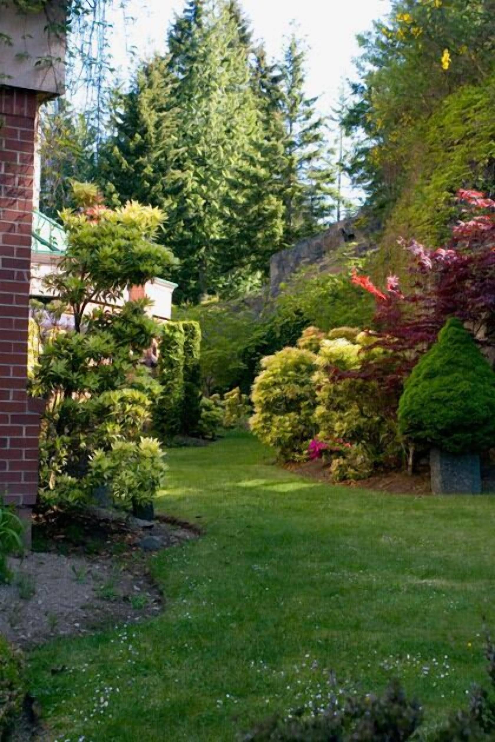 A well-maintained garden with various shrubs and trees, a brick wall, and a clear pathway.