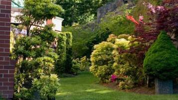 A well-maintained garden with various shrubs and trees, a brick wall, and a clear pathway.