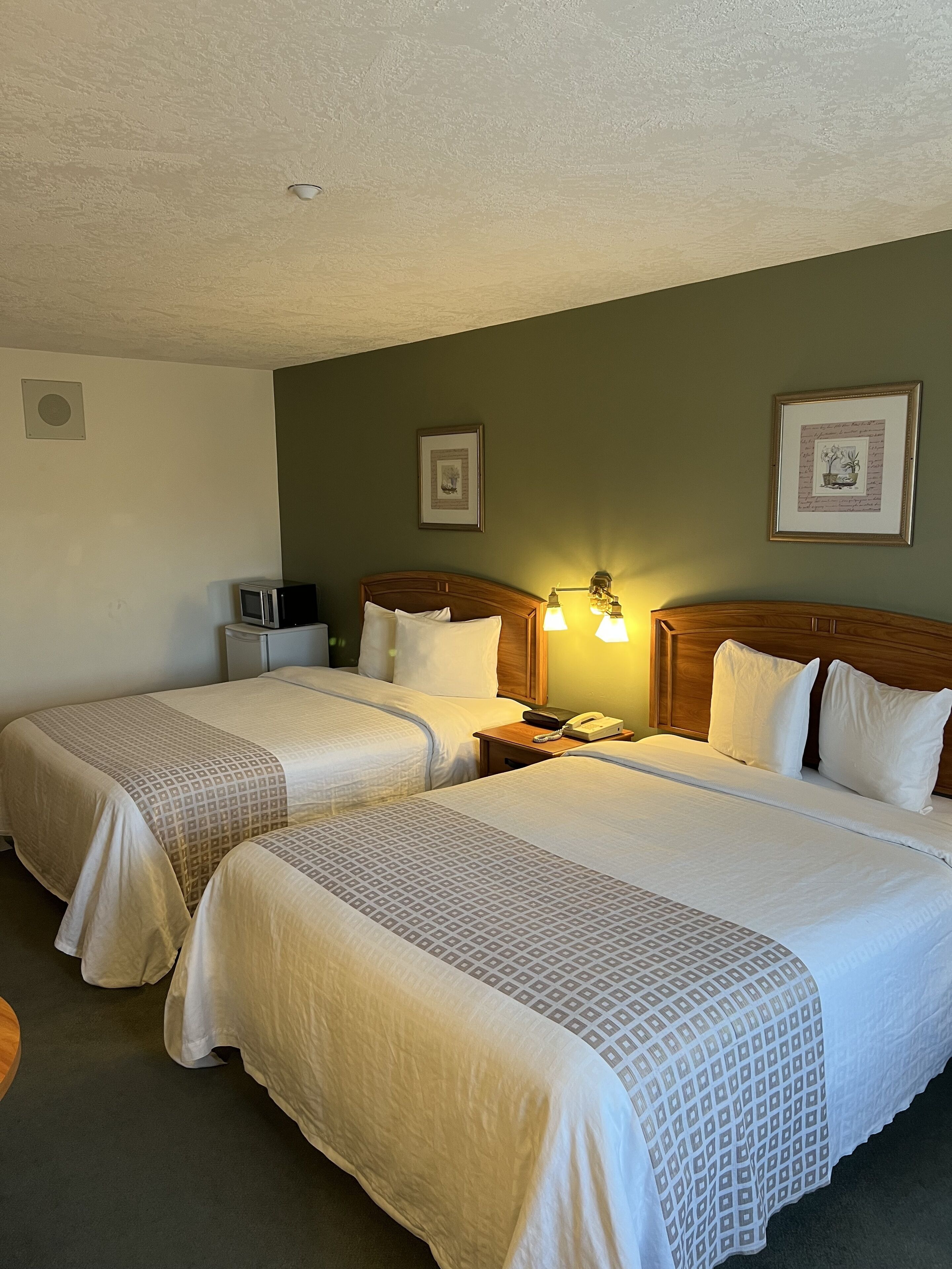 A hotel room with two beds, a bedside table with a lamp, a small table with a microwave, and framed pictures on the wall.