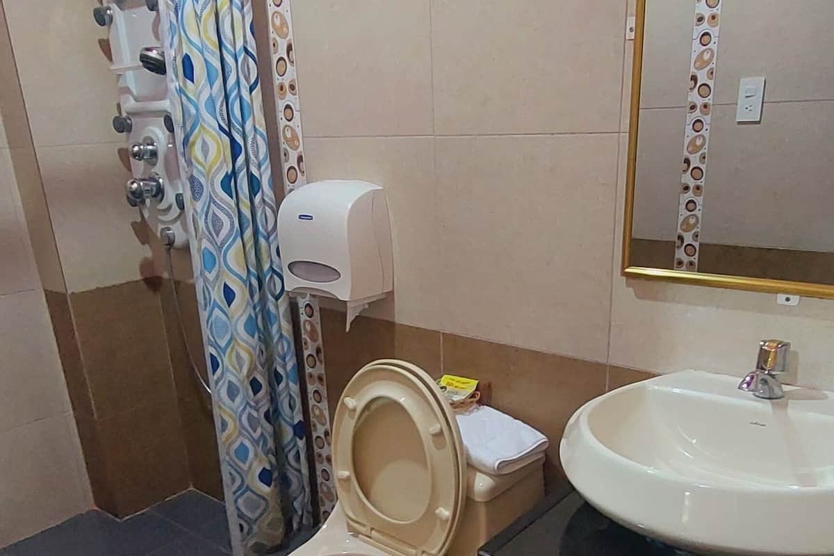 double room, 1 king bed, bathtub | bathroom | free toiletries, hair dryer, towels