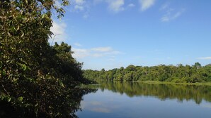 A calm lake surrounded by dense greenery and trees. - Platinum Class Hostal (Nueva Loja)