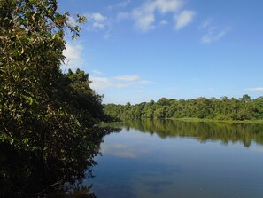 Un lac paisible, entouré d’une végétation luxuriante et d’arbres.