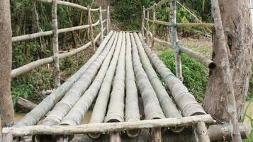 A bamboo bridge with a natural, rustic setting.
