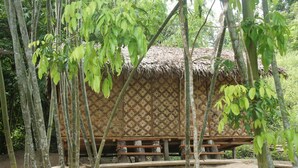 A traditional bamboo hut with a patterned wall and a thatched roof, surrounded by bamboo trees.