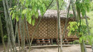 Khuôn viên nơi lưu trú