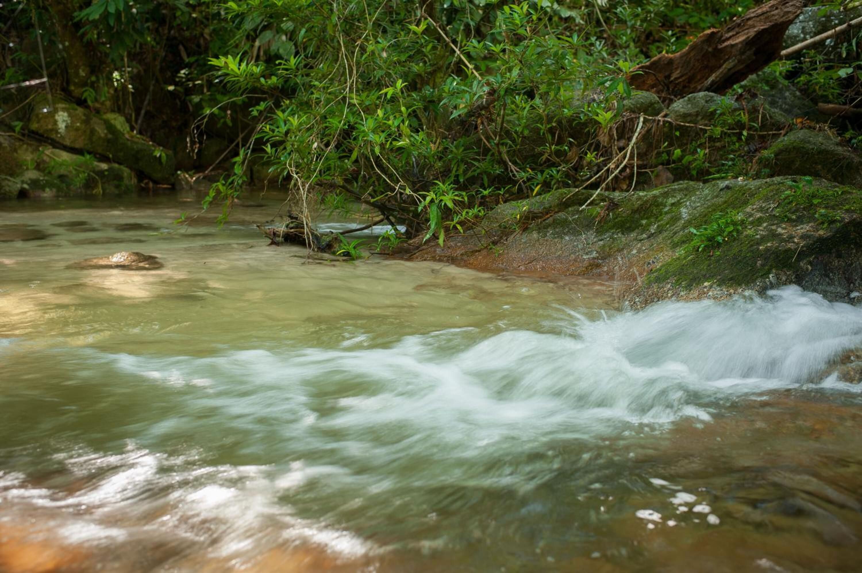 Un río caudaloso con aguas cristalinas, rodeado de abundante vegetación y rocas.