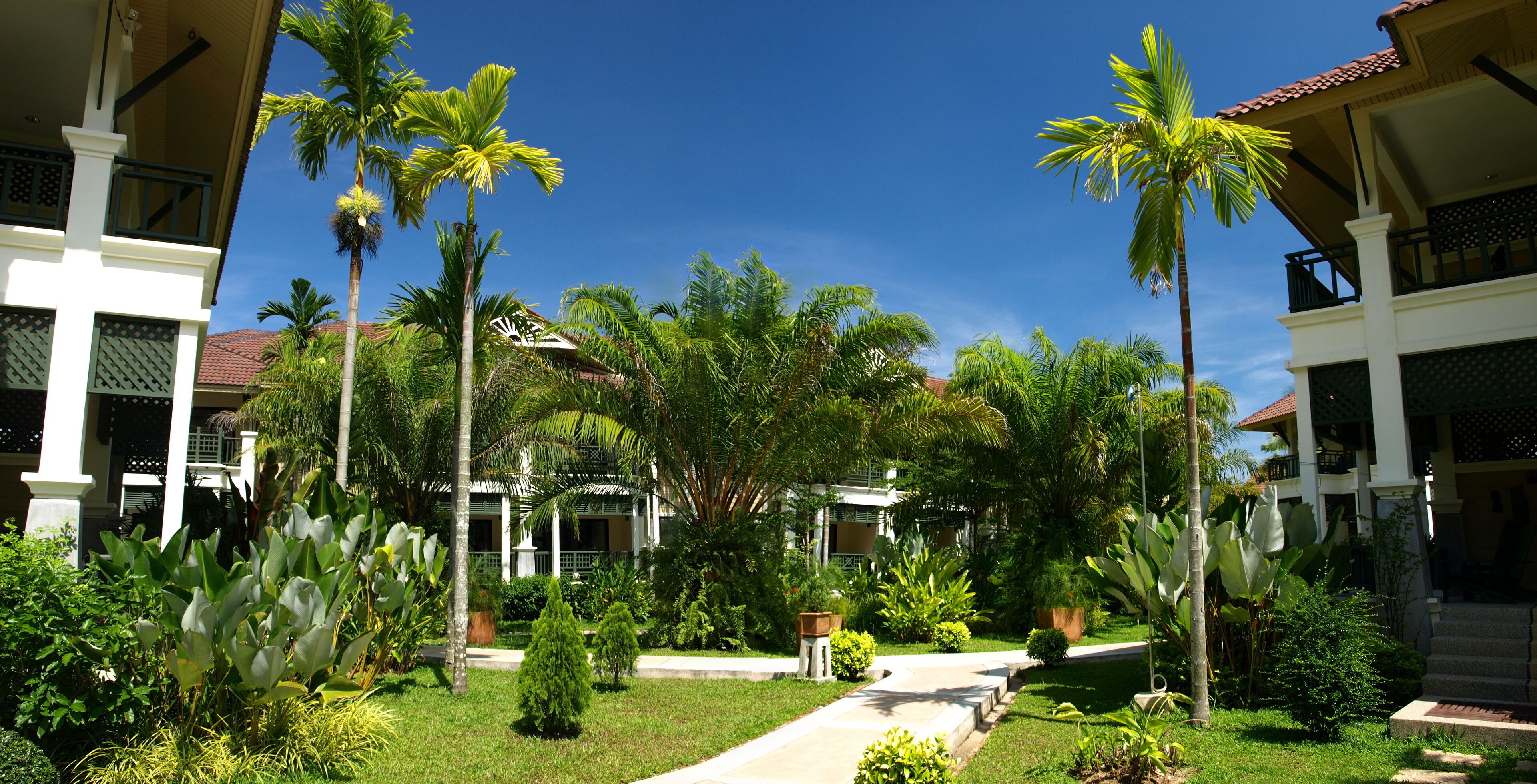 A courtyard with palm trees, a pathway, and a building with balconies.