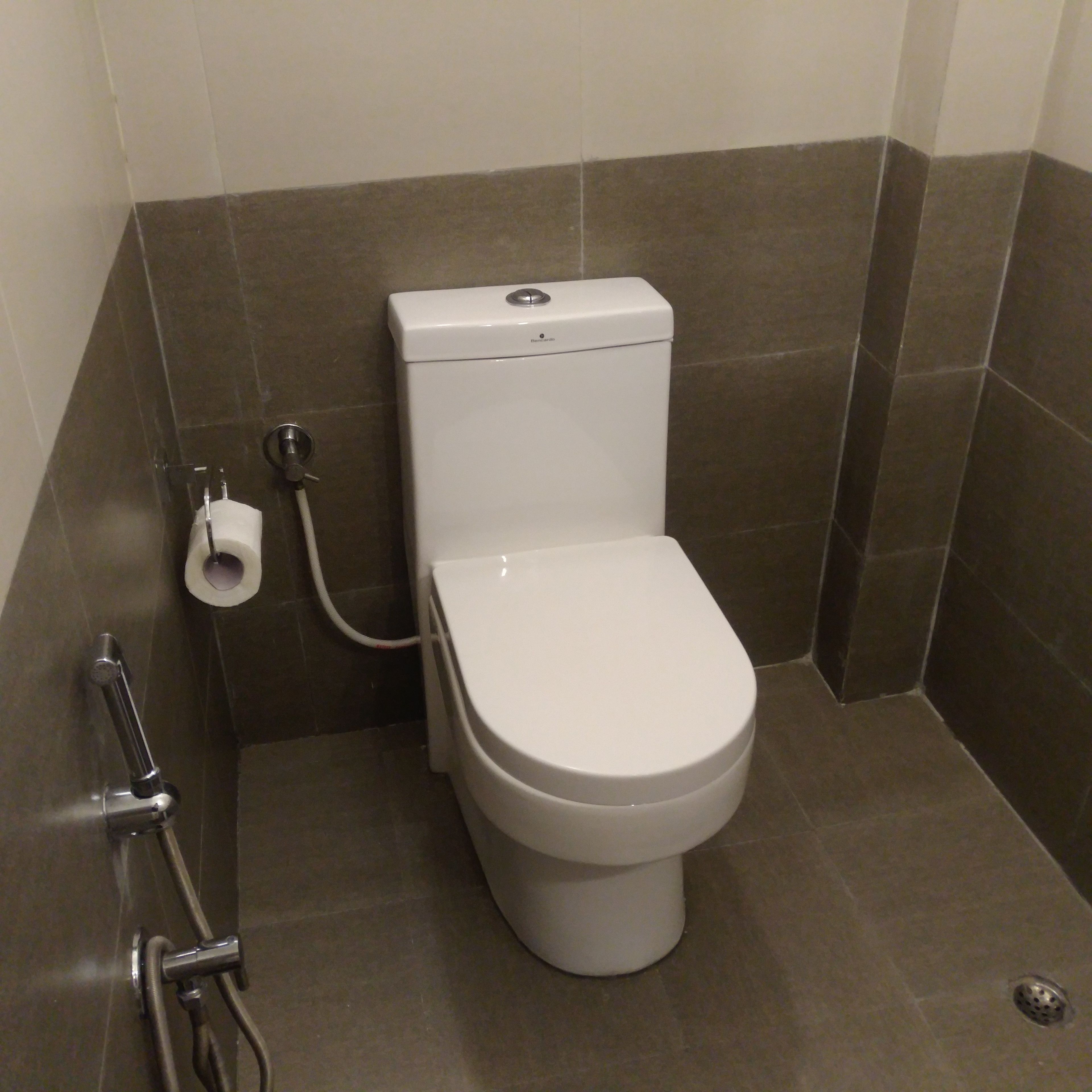 Un WC standard bianco con un bidet integrato, un porta carta igienica e una maniglia di sostegno.