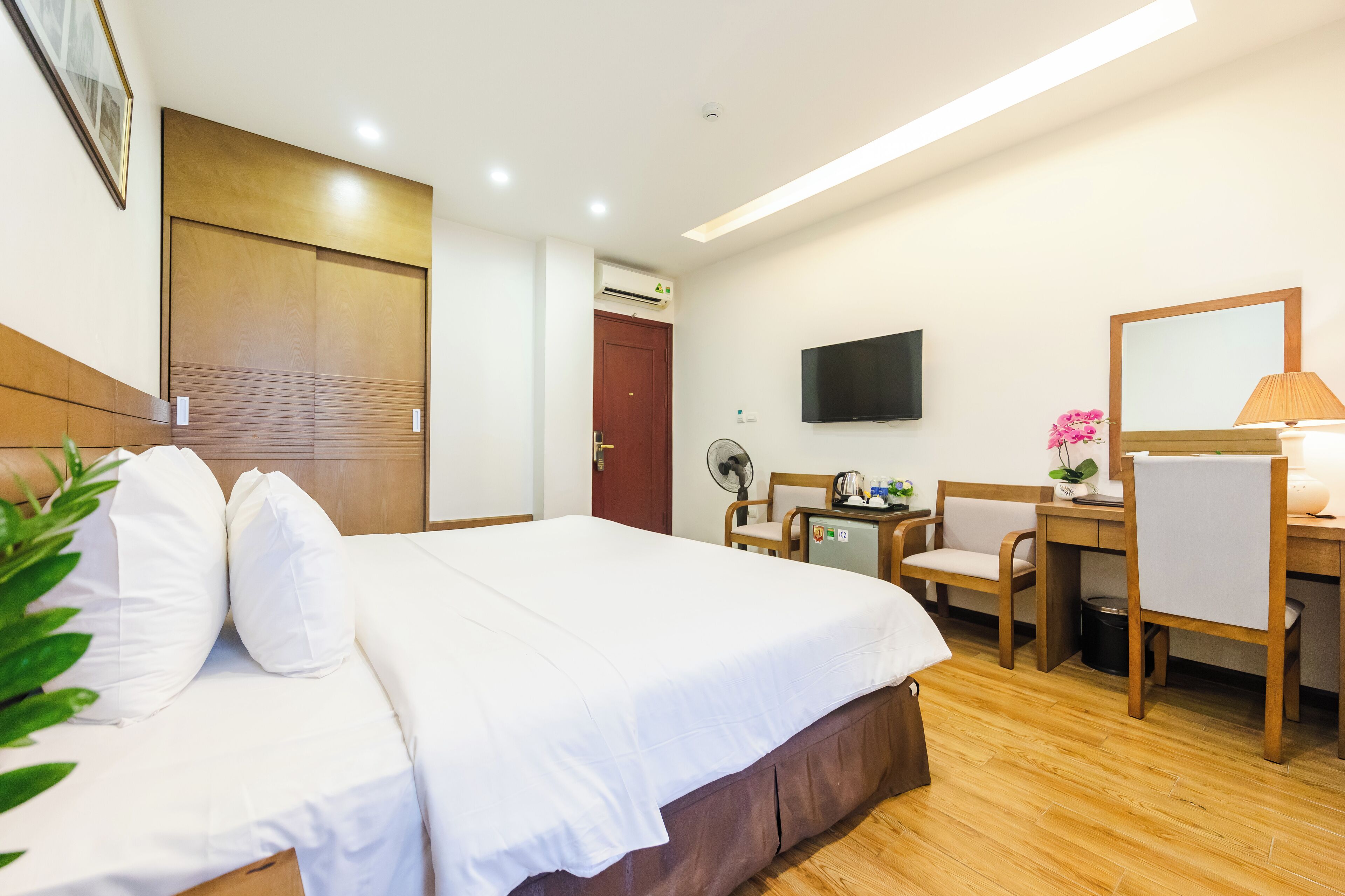 A hotel room with a bed, desk, chair, TV, and a plant.