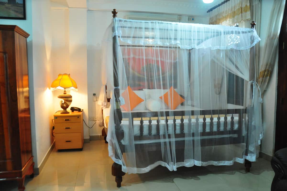 Minibar, desk, iron/ironing board, free WiFi