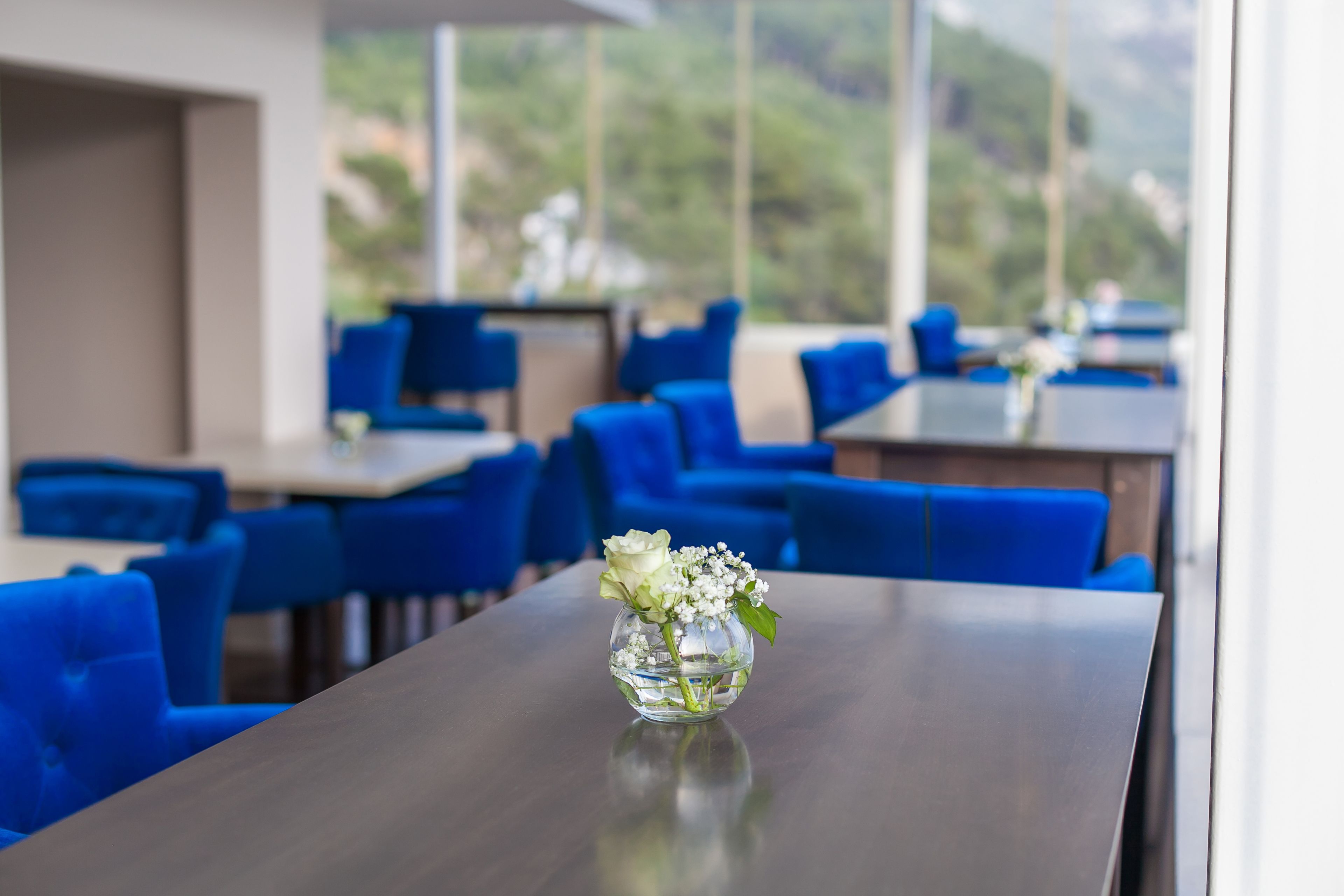 Un coin repas avec des chaises et des tables bleues, un vase rempli de fleurs blanches et une vue sur la verdure à l’extérieur.