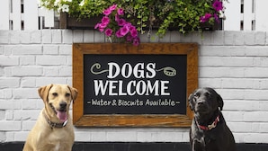 Two dogs sitting in front of a sign that reads "Dogs Welcome - Water & Biscuits Available". - B&B Torino Très Chic (Turin)