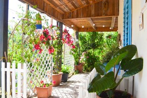 Property entrance - Benvenuti Nel Sud (Sessa Cilento)