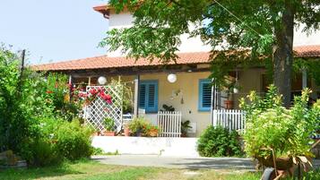 Facciata della struttura - sera/notte