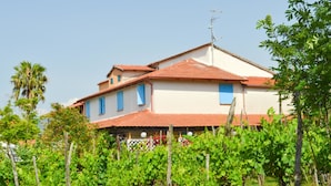 Un bâtiment à deux étages, doté d’un toit recouvert de tuiles rouges et de volets bleus, entouré d’un vignoble.