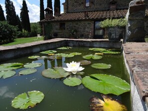 Property grounds - Podere Pievina Delle Corti (Sinalunga)