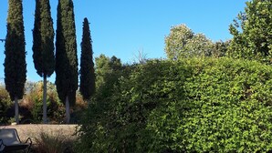 A swimming pool with clear blue water, surrounded by neatly trimmed hedges and tall trees. - Podere Pievina Delle Corti (Sinalunga)