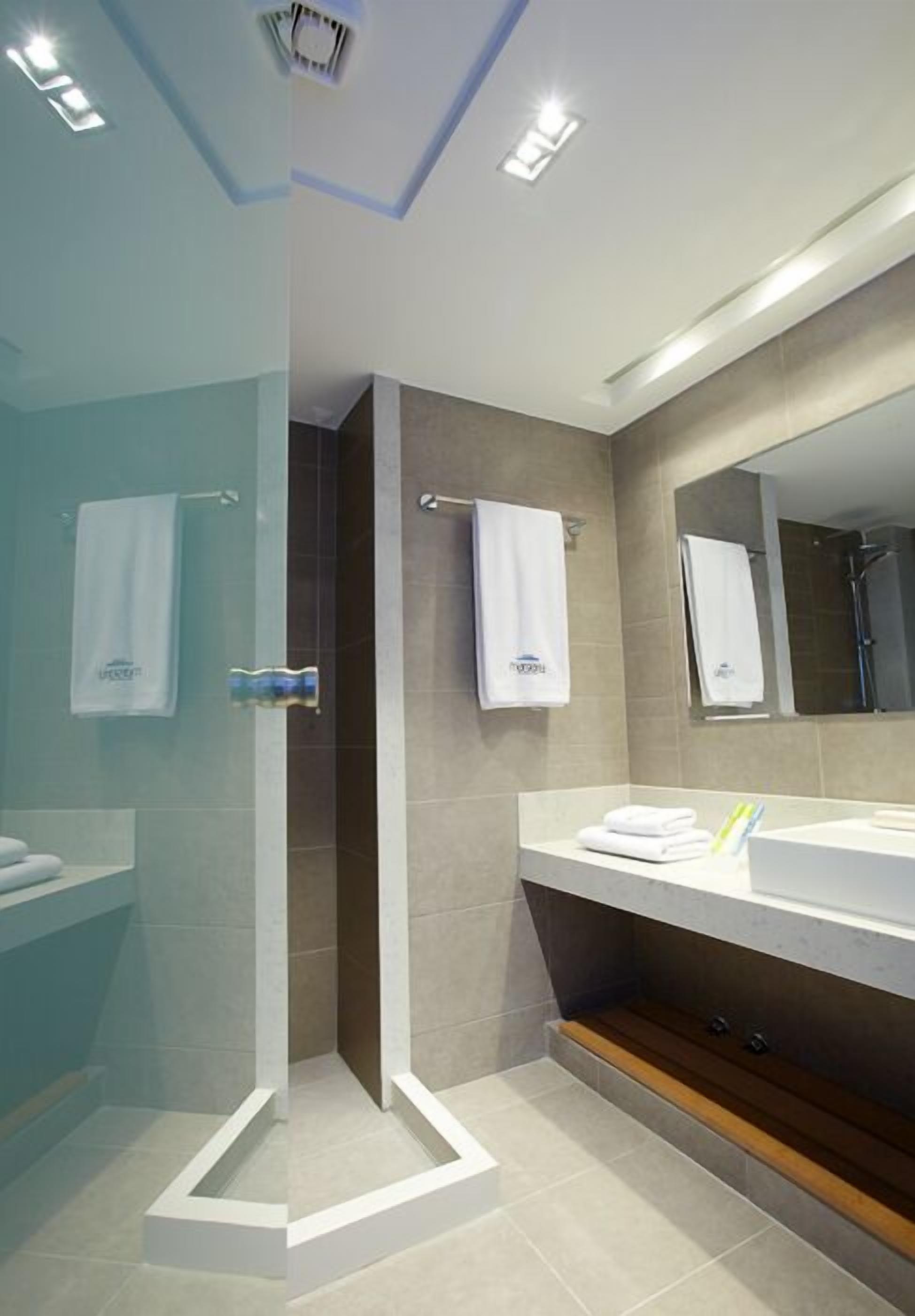 shower, hydromassage showerhead, designer toiletries, hair dryer