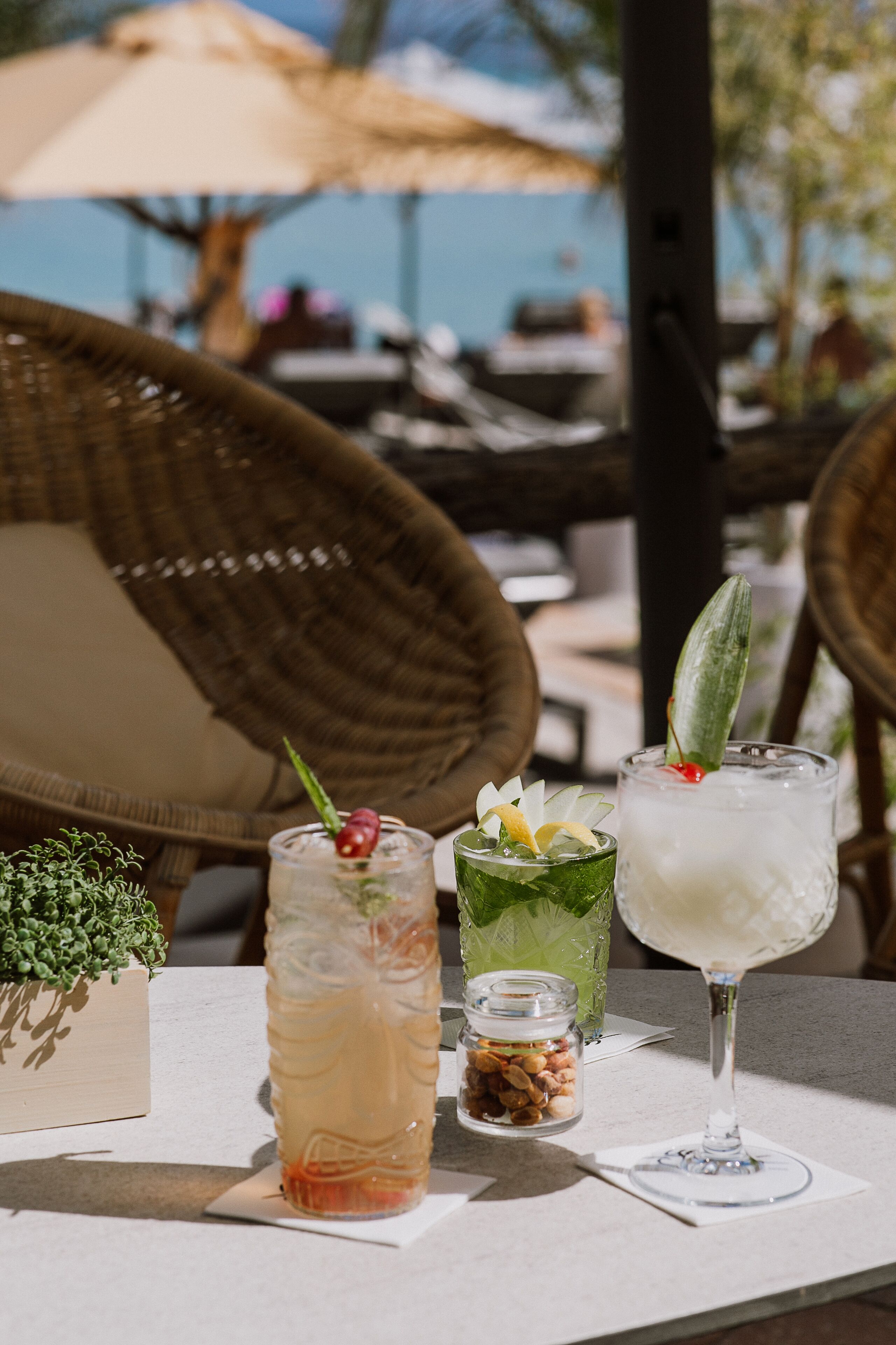 Une table avec trois boissons, une petite plante et une boîte en bois.