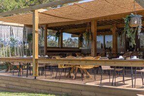 テラス / パティオ