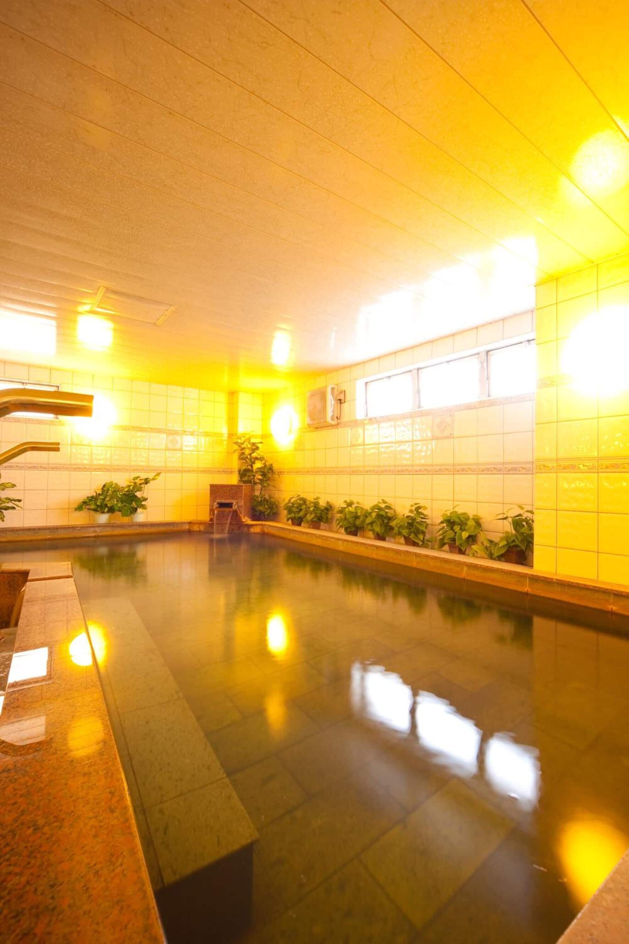 A swimming pool with tiled walls and a tiled floor, surrounded by potted plants.