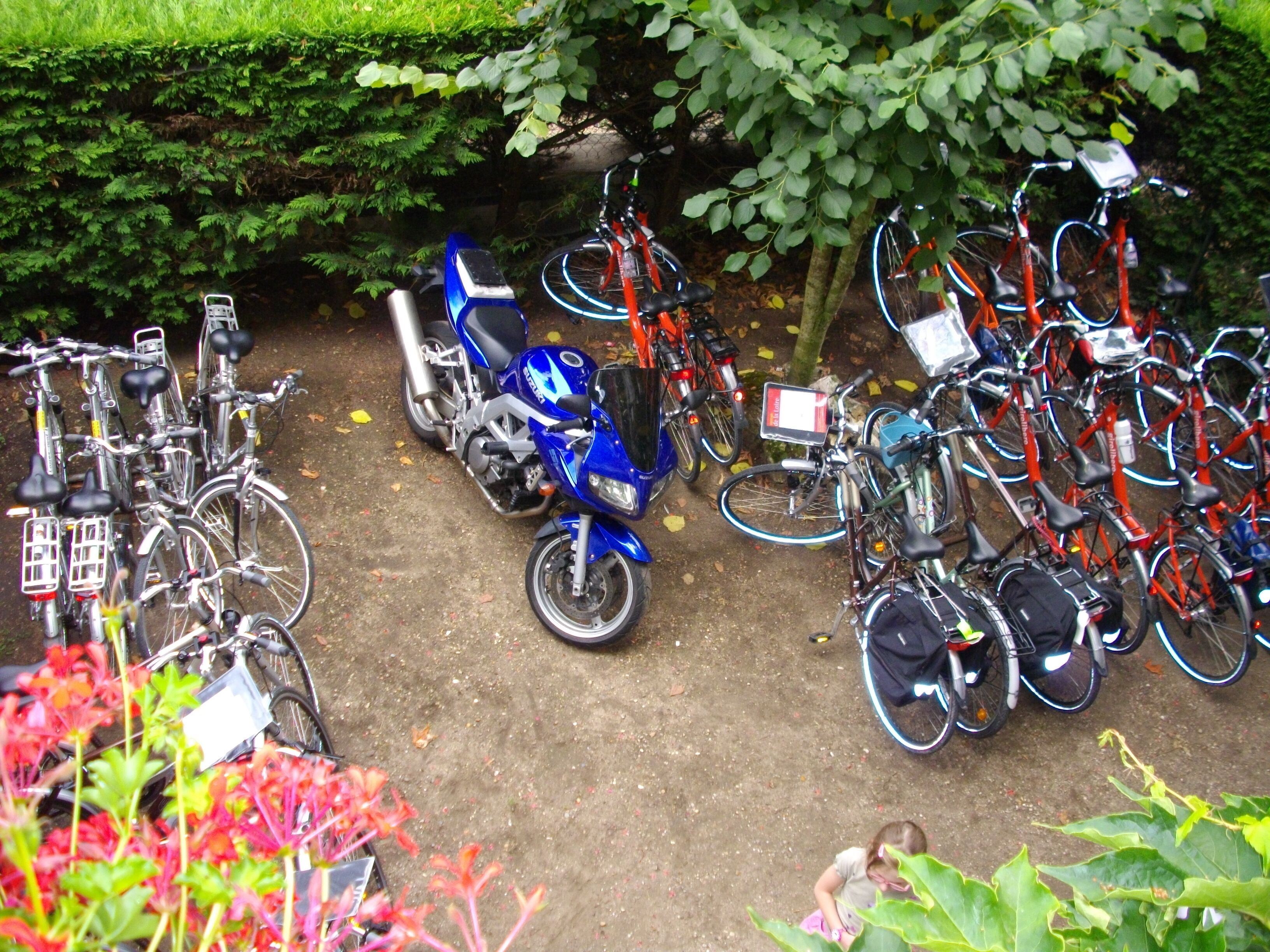 Een parkeerplaats met meerdere fietsen en een scooter.