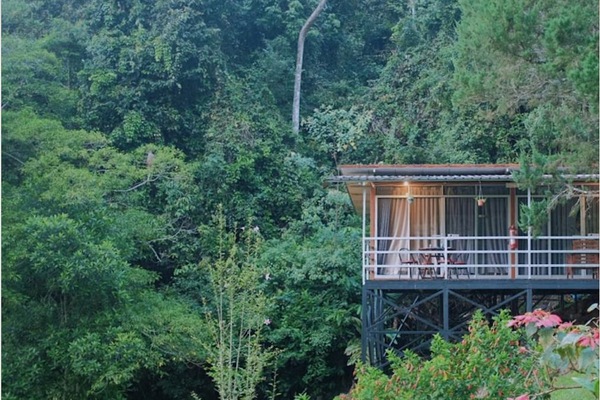 Building design