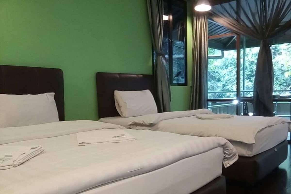 Habitación de hotel con dos camas, una pared verde y vistas a árboles a través de amplios ventanales.
