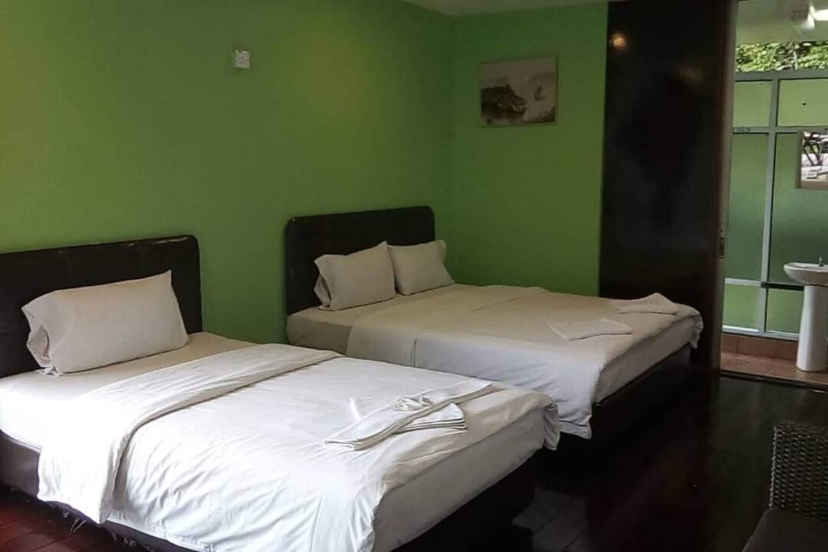 Una habitación con dos camas individuales, una pared verde y una ventana con vistas.