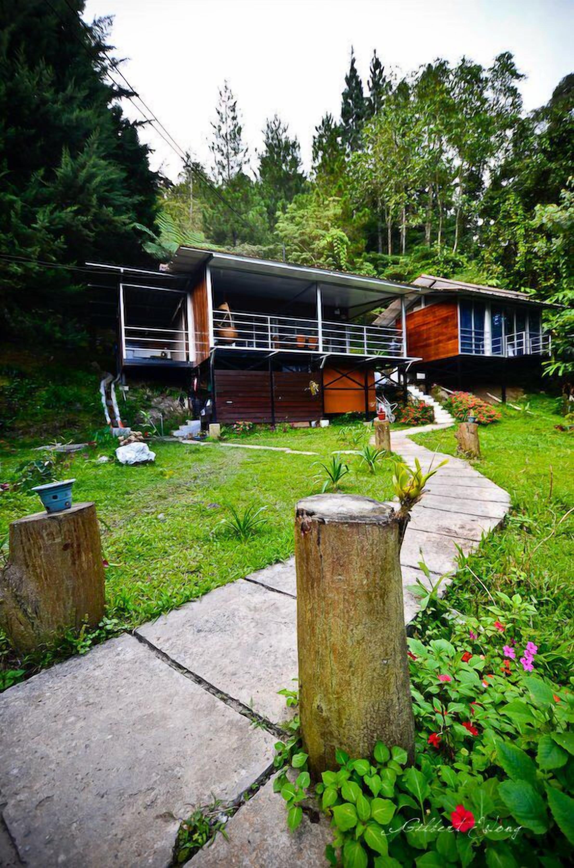 A modern house with a covered porch, a stone pathway, and a lush garden.