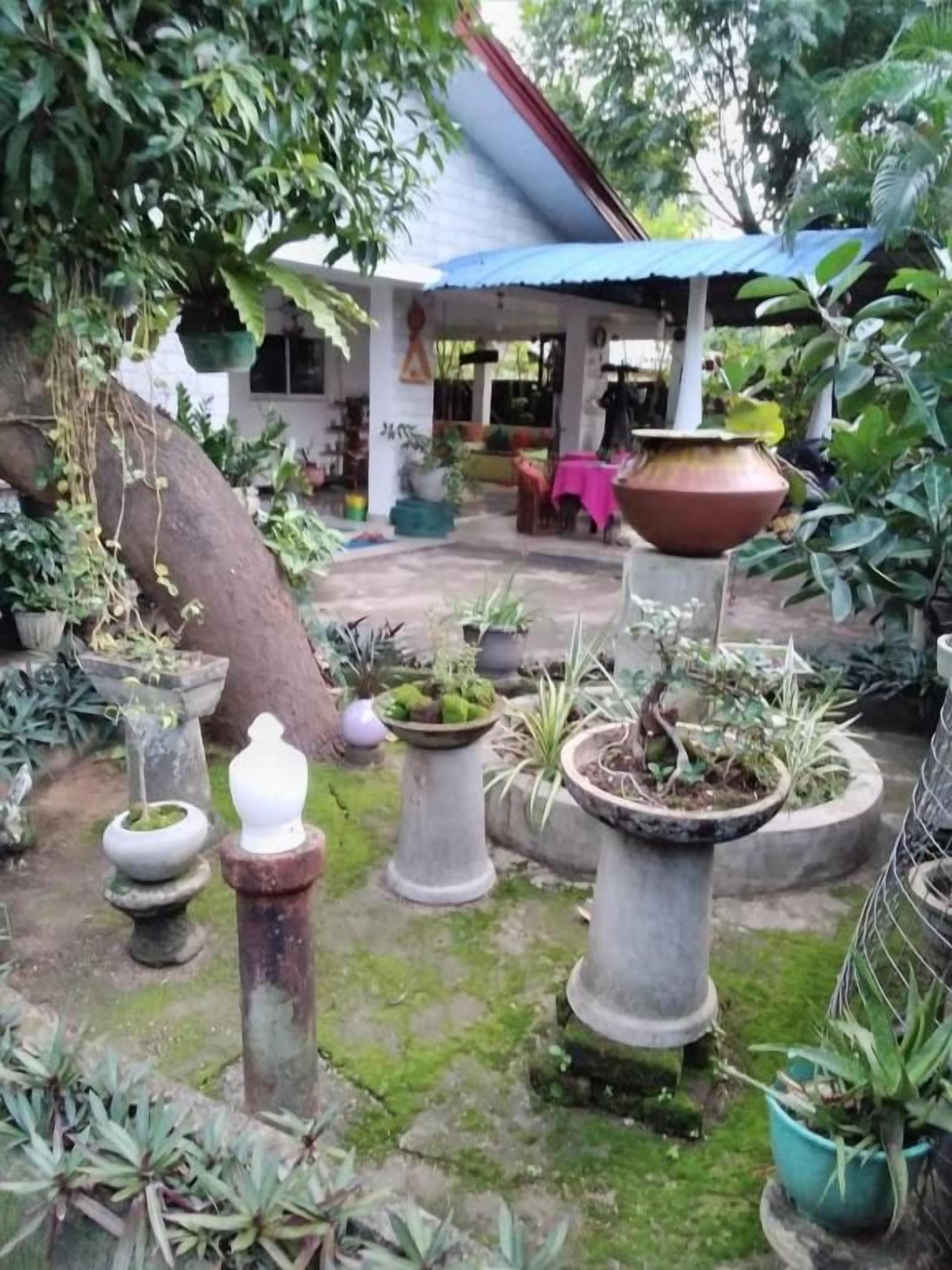 Un jardín con plantas en macetas y una zona de estar cubierta.