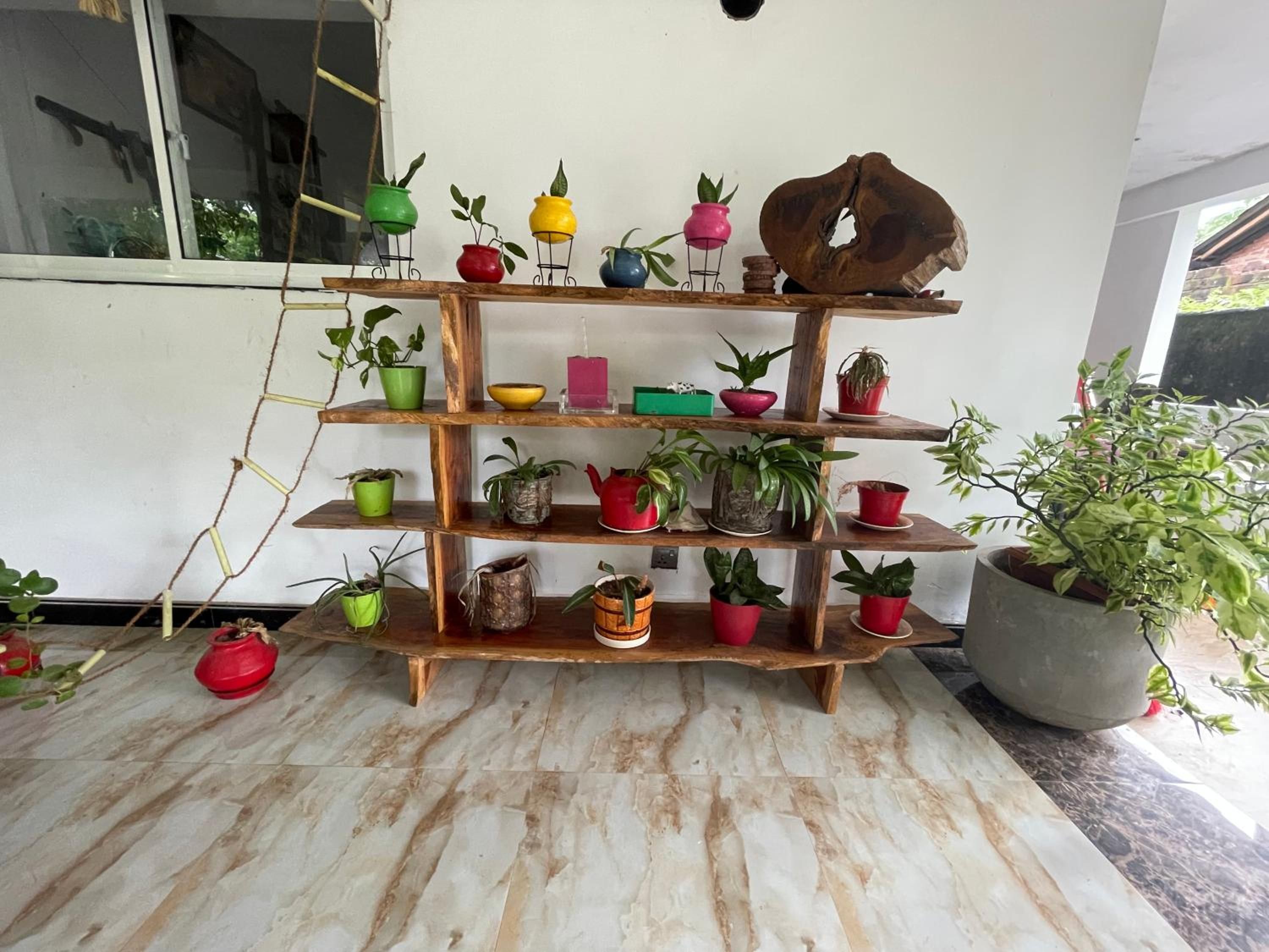 Un présentoir à plantes en bois, composé de plusieurs niveaux, sur lequel sont disposées différentes plantes en pot.