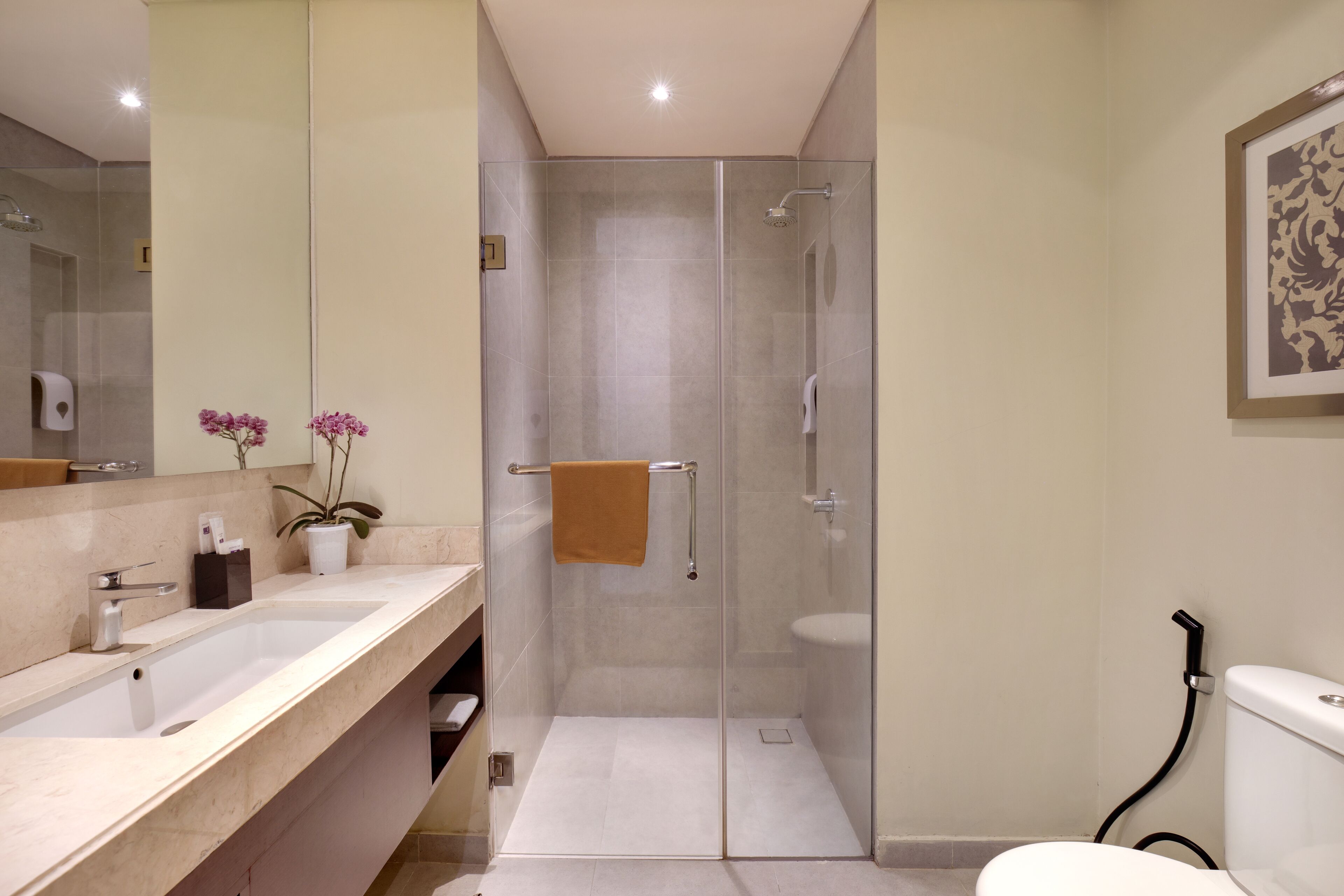 shower, free toiletries, hair dryer, slippers