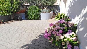 Un patio empedrado con una maceta de hortensias rosas y un cactus.