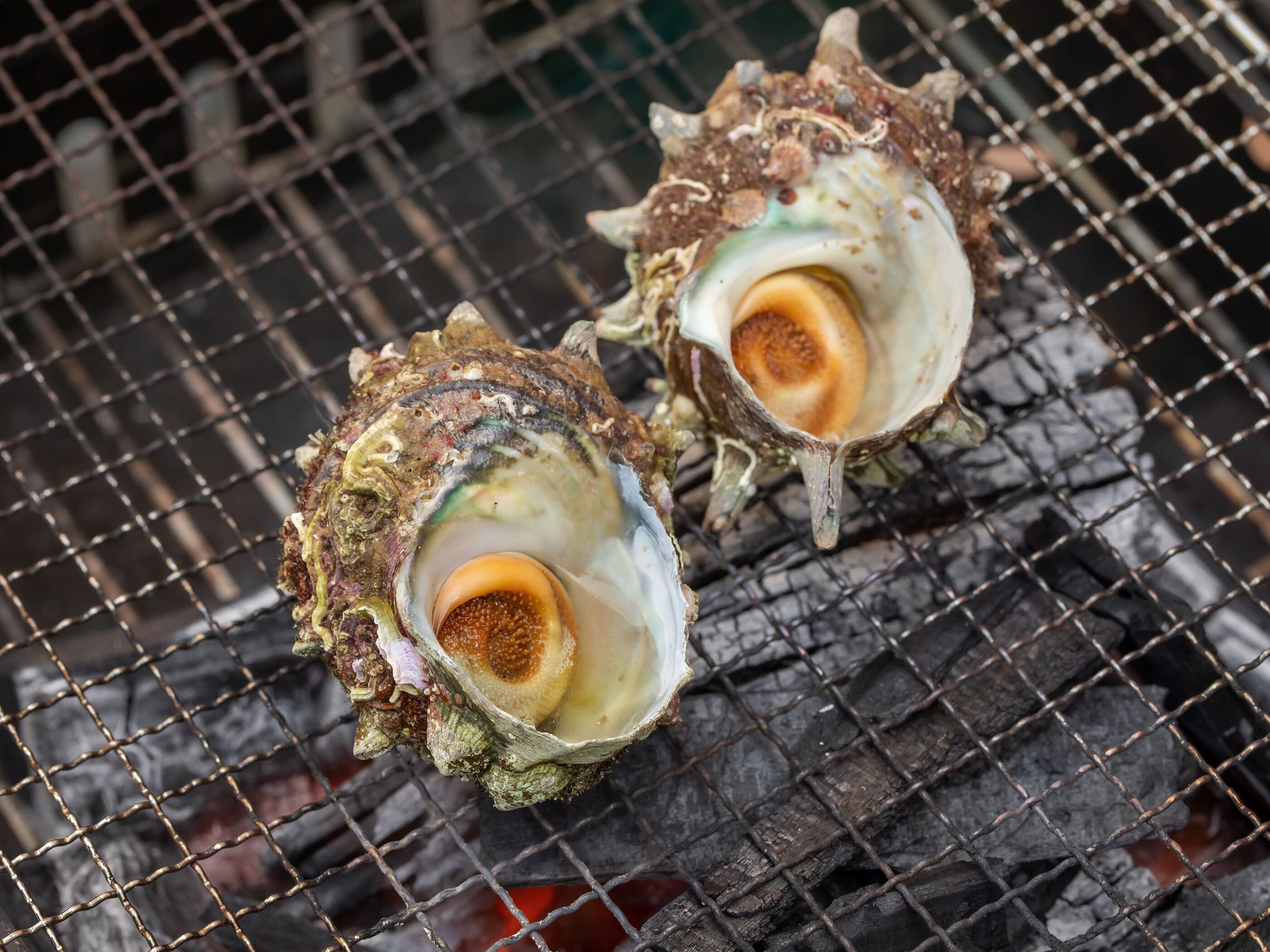 Two oysters on a grill with a wire mesh background.