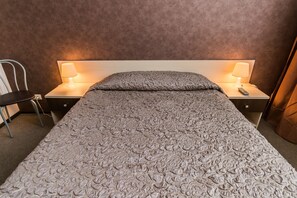 Minibar, soundproofing, iron/ironing board, free WiFi - Hotel Orion (Nizhny Novgorod)
