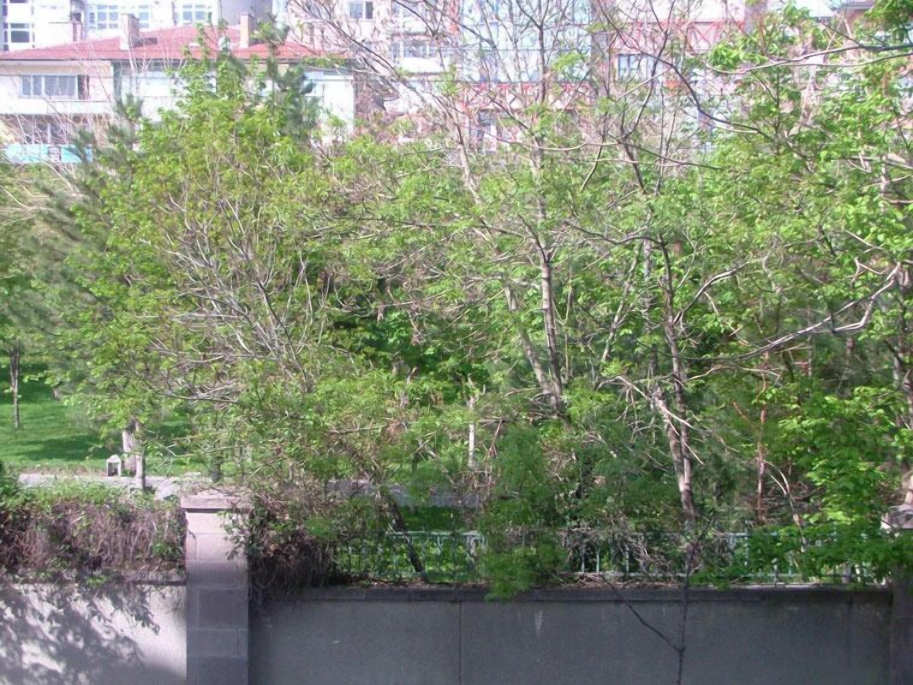 Foto - DOGA RESIDENCE HOTEL Ankara