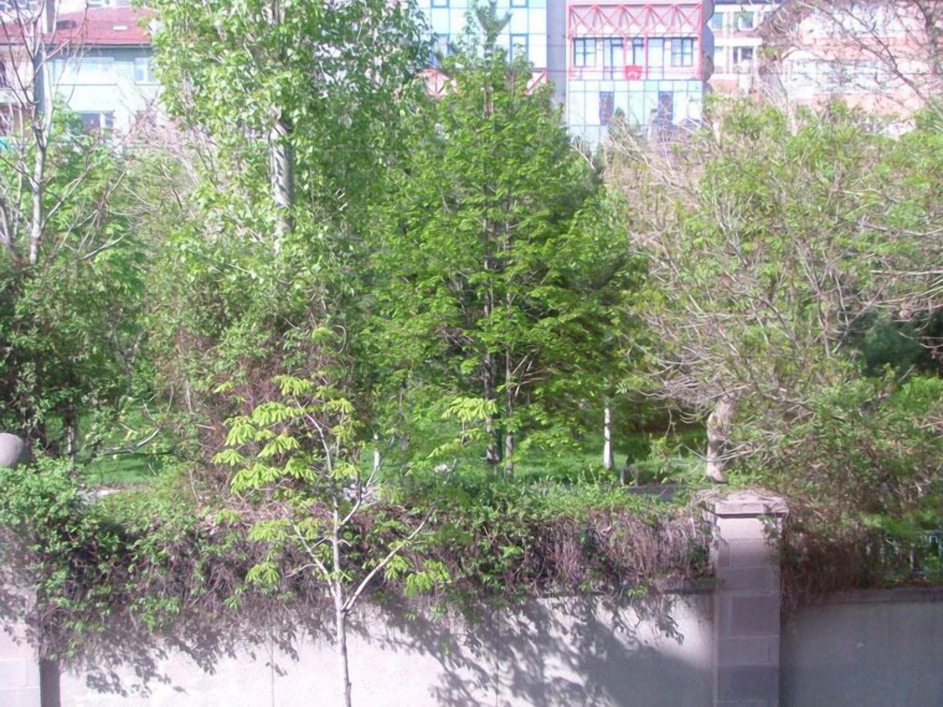 Foto - DOGA RESIDENCE HOTEL Ankara