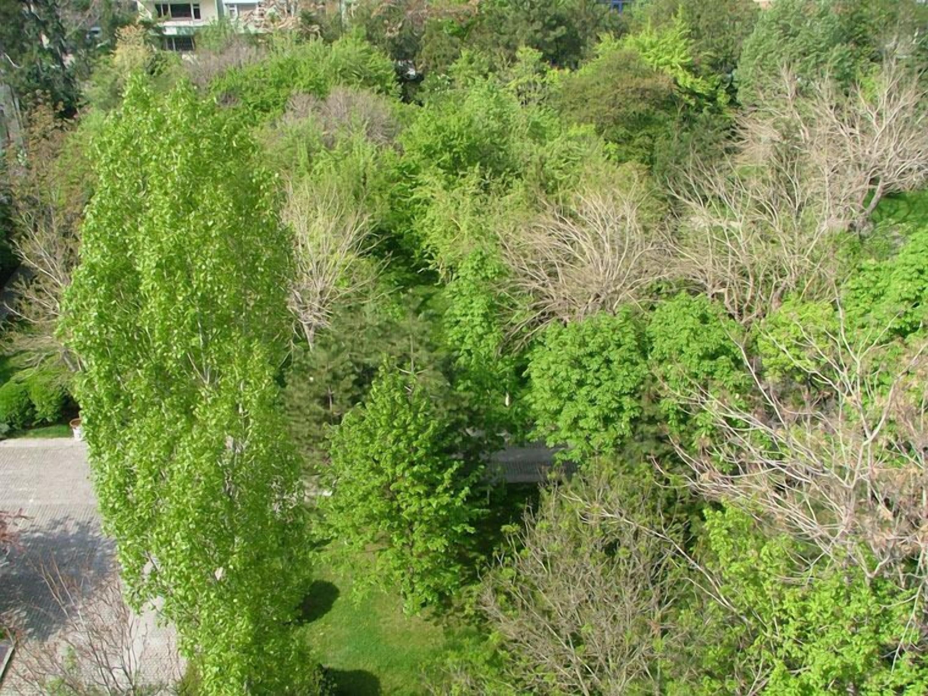 Foto - DOGA RESIDENCE HOTEL Ankara