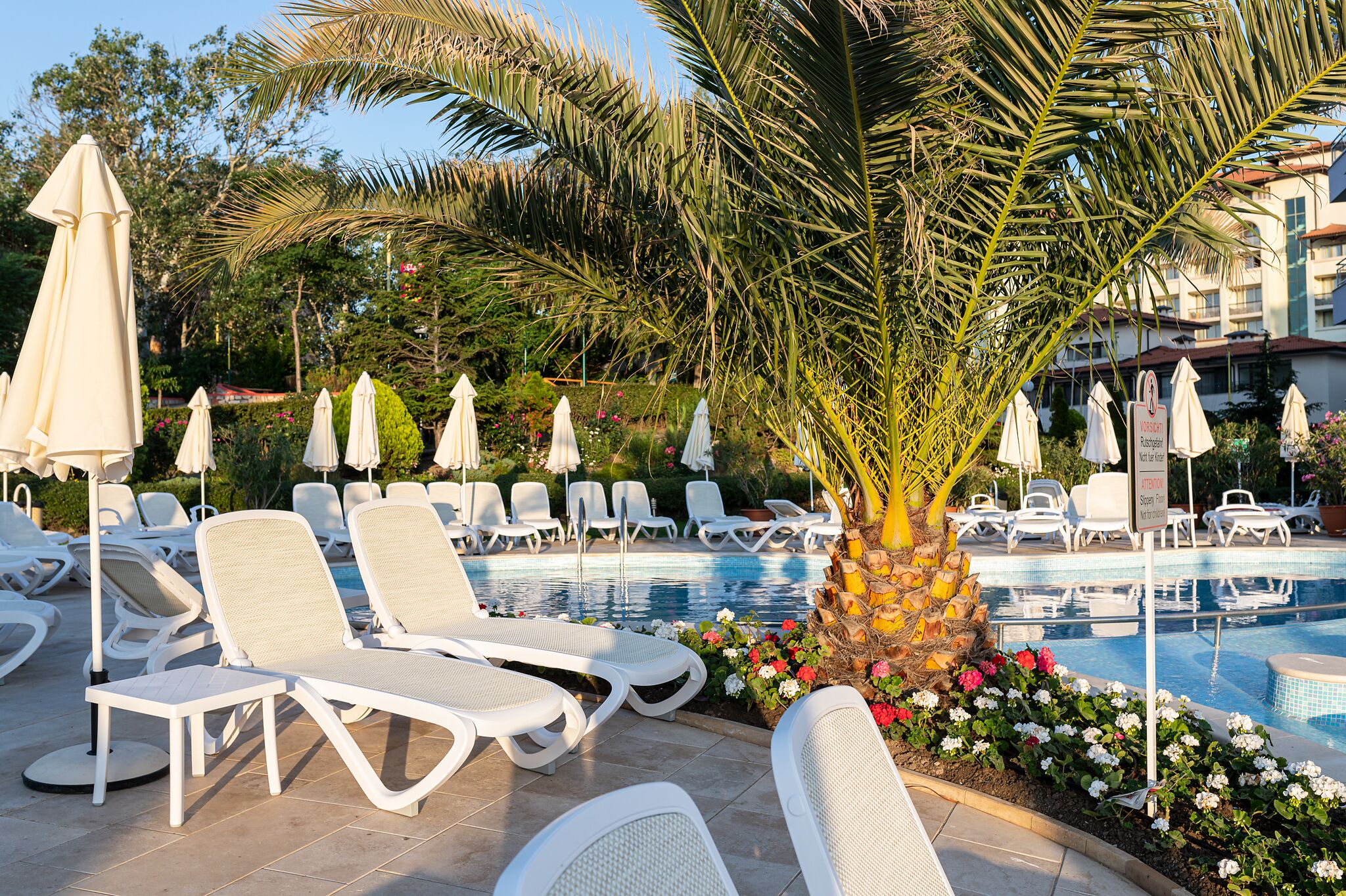 A poolside area with lounge chairs and umbrellas, surrounded by palm trees and flowers.