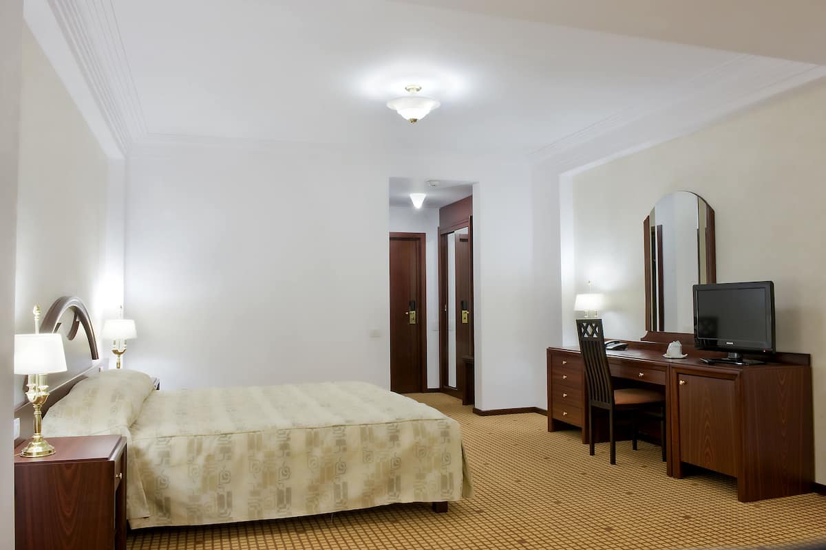 A hotel room with a bed, desk, chair, television, and a mirror.