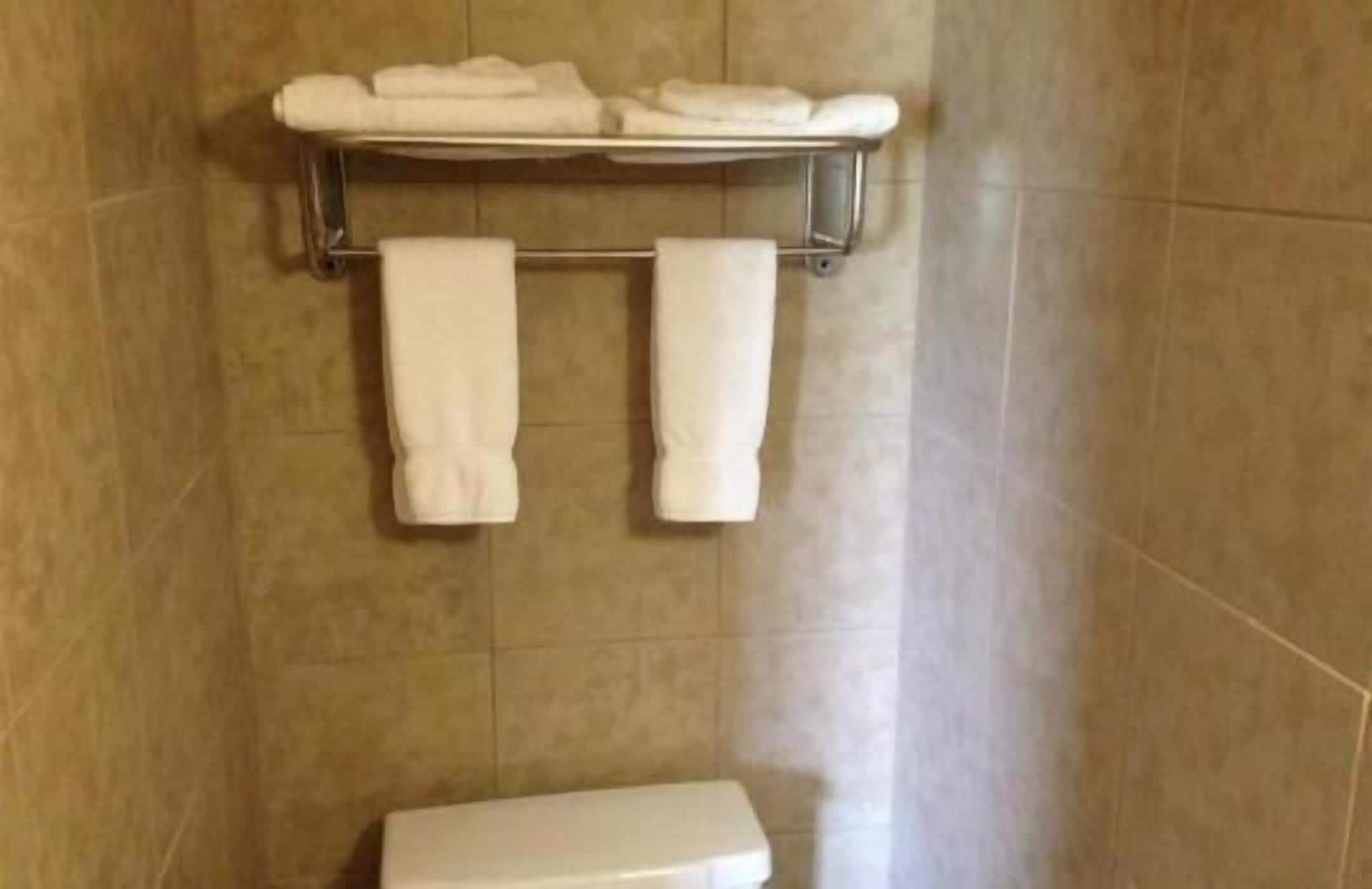 A bathroom with a toilet, a towel rack with towels, and a shelf with folded towels.
