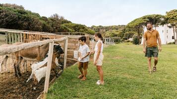 Une famille interagit avec des animaux dans un espace clos, avec un champ herbeux et des arbres en arrière-plan.