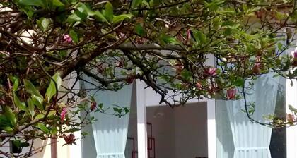 B&B Ca' Nobil