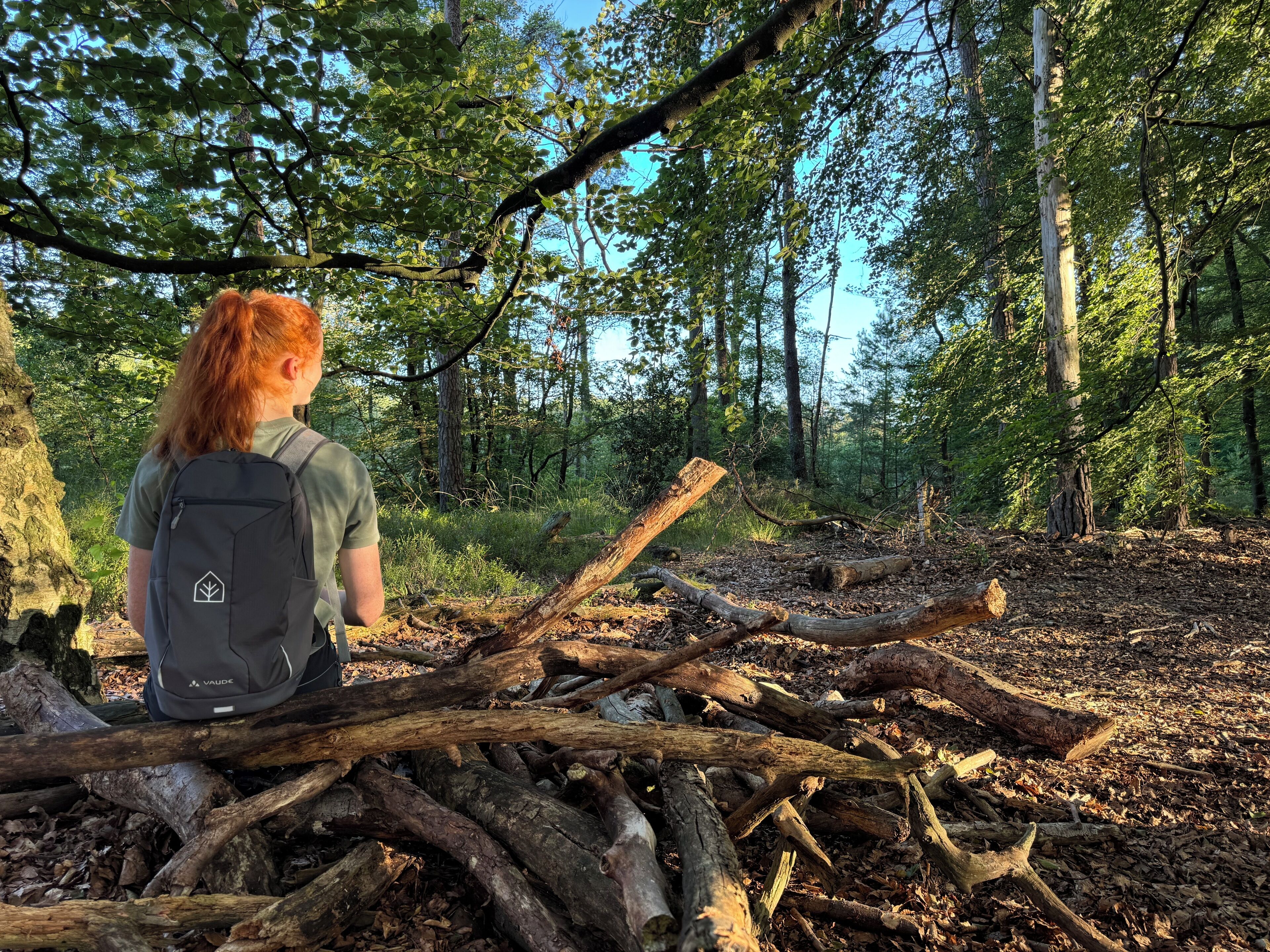 A person sitting on a fallen log in a forested area.
