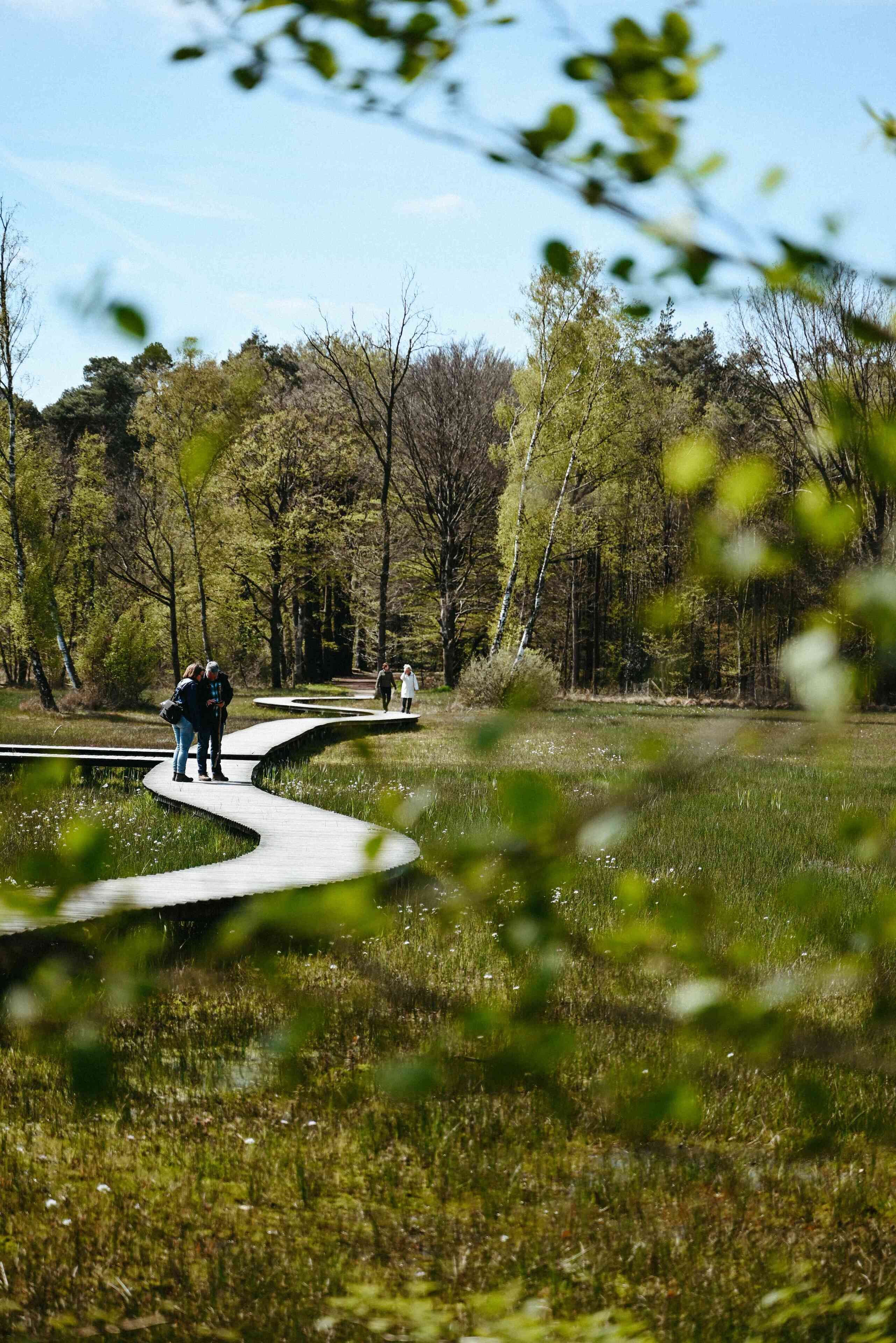 Un paseo marítimo sinuoso que atraviesa una zona boscosa, con gente caminando.