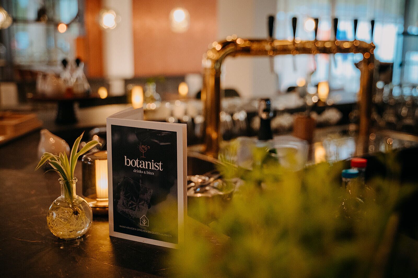 Zona de bar con un cartel que dice 'botanist drinks & bites', un florero de vidrio con una planta y un fondo desenfocado con luces.