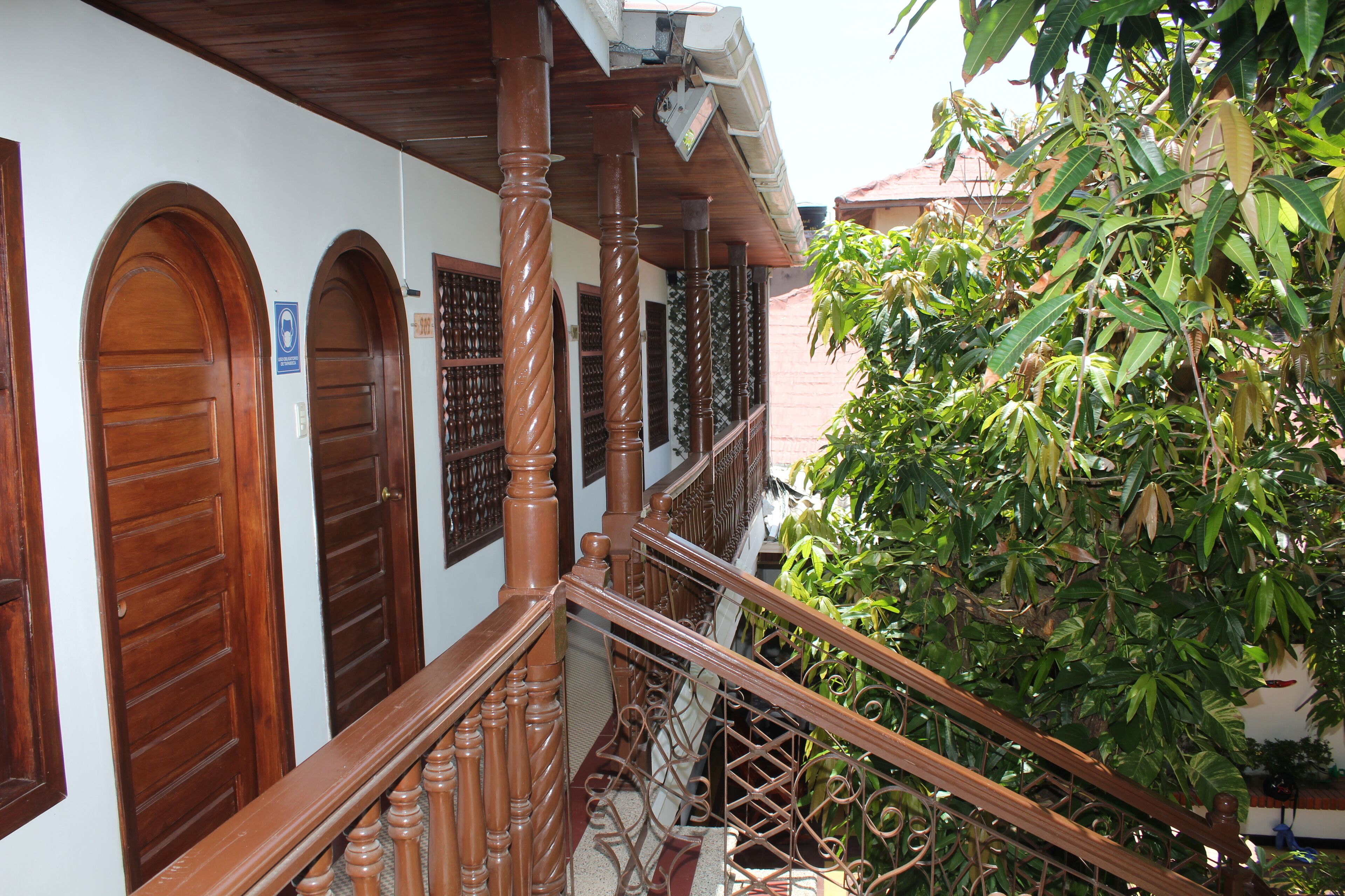 Pemandangan taman