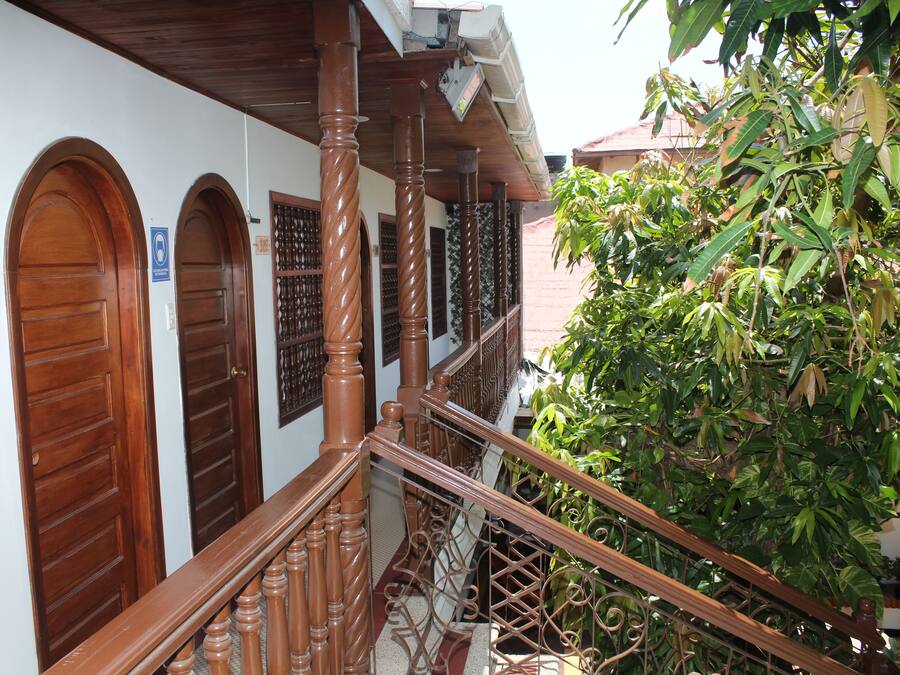 Pemandangan taman
